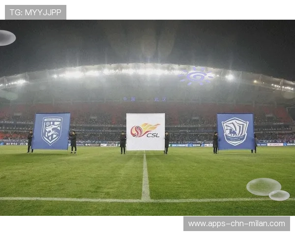 中国足球转会窗口:大牌或回归? 中国足球转会窗口:大牌或回归?