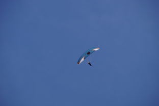 全国青少年水上滑翔锦标赛天津盛大开幕，水上滑翔机价格