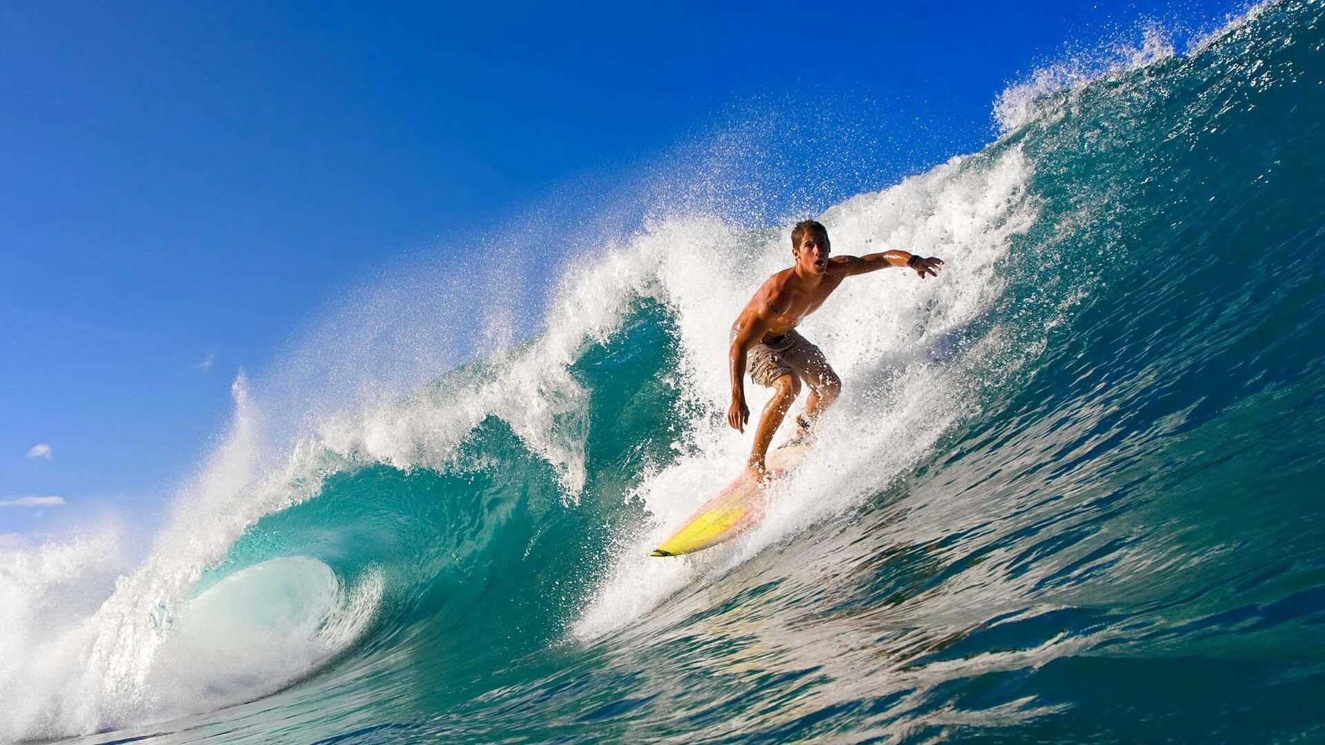 女子排球国家队新战术体系逐步成型，女子排球近况